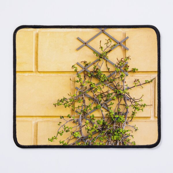 Item preview, Climbing Vine On Yellow Wall With Wooden Trellis Green Leaves Texture And Rustic Architectural Detail designed and sold by Nmallia.