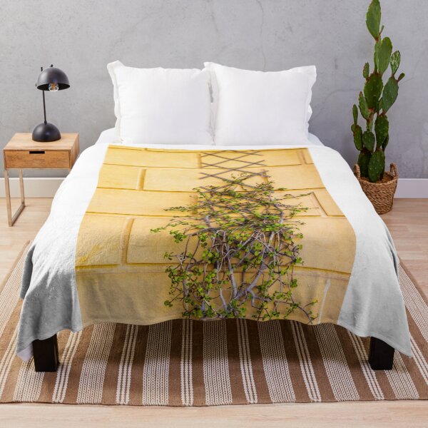 Item preview, Climbing Vine On Yellow Wall With Wooden Trellis Green Leaves Texture And Rustic Architectural Detail designed and sold by Nmallia.