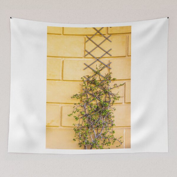 Item preview, Climbing Vine On Yellow Wall With Wooden Trellis Green Leaves Texture And Rustic Architectural Detail designed and sold by Nmallia.