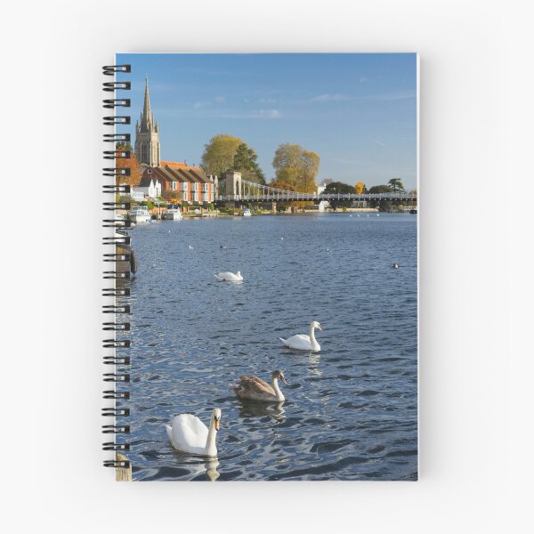 Artikelvorschau, Schwäne auf der Themse, West Molesey – Surrey-Fotografie entworfen und verkauft von ThatSurreyLife.
