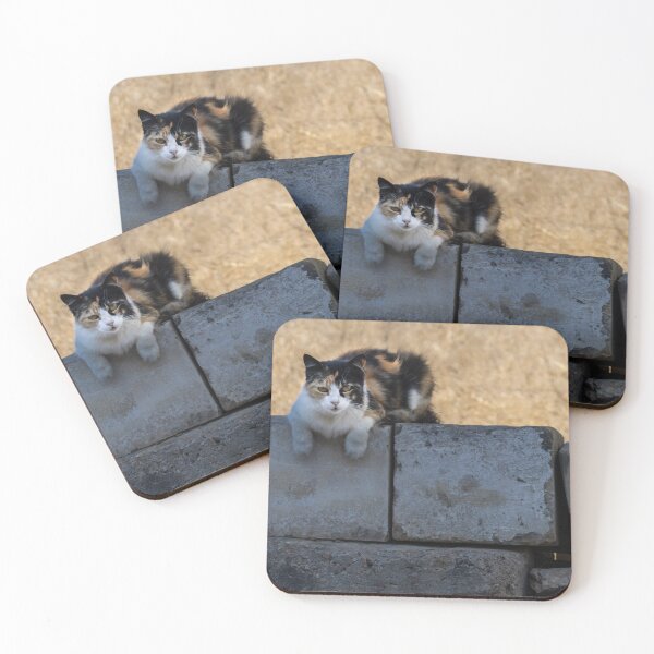 Item preview, Calico Cat Resting on Weathered Concrete Wall in Dry Field, Outdoor Pet Portrait designed and sold by Nmallia.