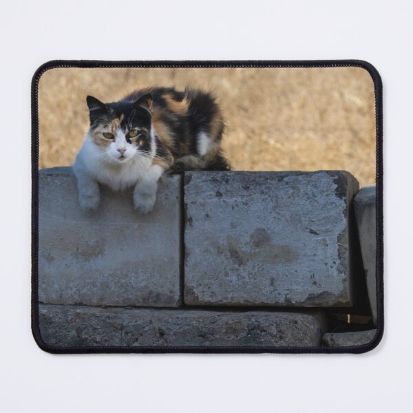 Item preview, Calico Cat Resting on Weathered Concrete Wall in Dry Field, Outdoor Pet Portrait designed and sold by Nmallia.