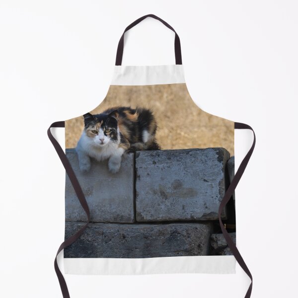 Item preview, Calico Cat Resting on Weathered Concrete Wall in Dry Field, Outdoor Pet Portrait designed and sold by Nmallia.