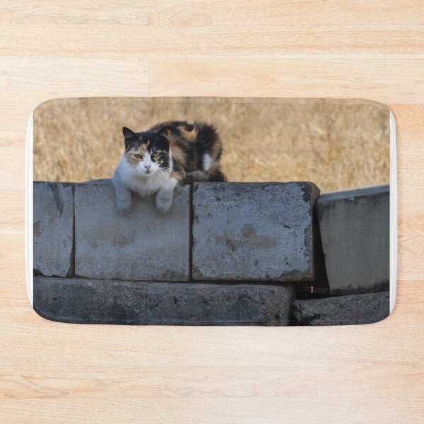 Item preview, Calico Cat Resting on Weathered Concrete Wall in Dry Field, Outdoor Pet Portrait designed and sold by Nmallia.