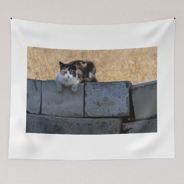 Item preview, Calico Cat Resting on Weathered Concrete Wall in Dry Field, Outdoor Pet Portrait designed and sold by Nmallia.