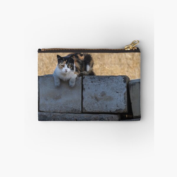 Artikelvorschau, Dreifarbige Katze ruht auf verwitterter Betonmauer in trockenem Feld, Haustierporträt im Freien entworfen und verkauft von Nmallia.