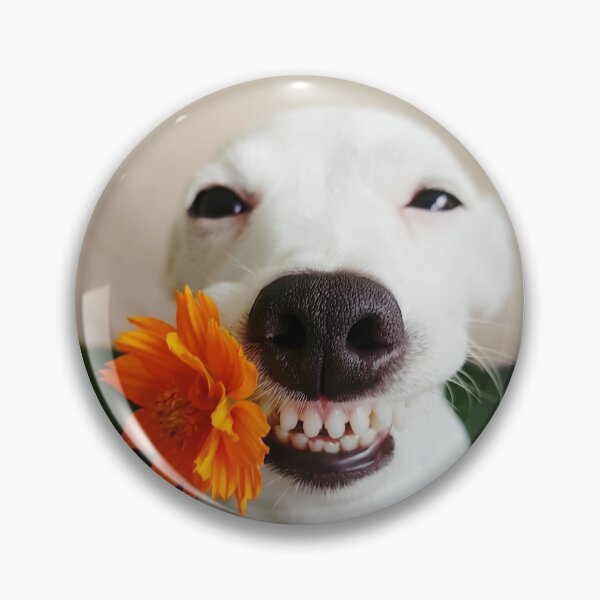 Item preview, Happy White Dog Holding Orange Flower designed and sold by Vinnu Vault.