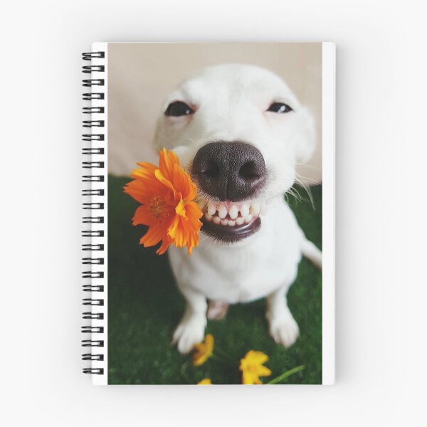 Item preview, Happy White Dog Holding Orange Flower designed and sold by Vinnu Vault.