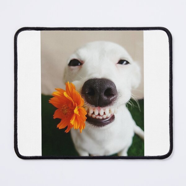 Item preview, Happy White Dog Holding Orange Flower designed and sold by Vinnu Vault.