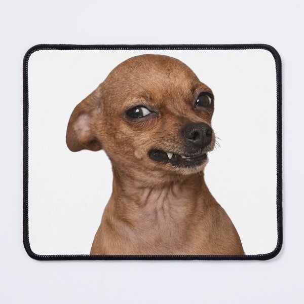 Item preview, Funny Snarling Chihuahua - Sarcastic Angry Dog Meme Sticker & T-Shirt Design designed and sold by thesmokeydogs.