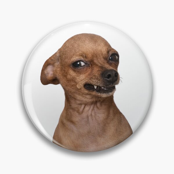 Item preview, Funny Snarling Chihuahua - Sarcastic Angry Dog Meme Sticker & T-Shirt Design designed and sold by thesmokeydogs.