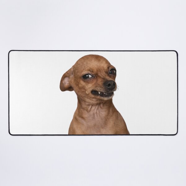 Item preview, Funny Snarling Chihuahua - Sarcastic Angry Dog Meme Sticker & T-Shirt Design designed and sold by thesmokeydogs.