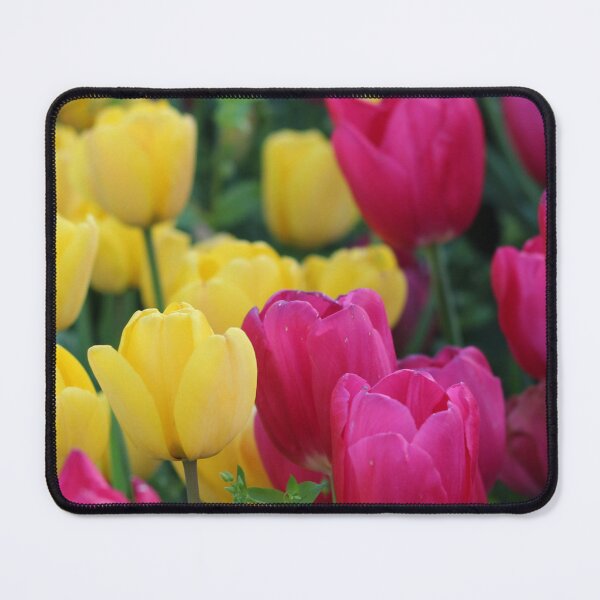 Item preview, Colourful Spring Tulips Photography Print – Vibrant Floral Garden Wall Art designed and sold by ThatSurreyLife.