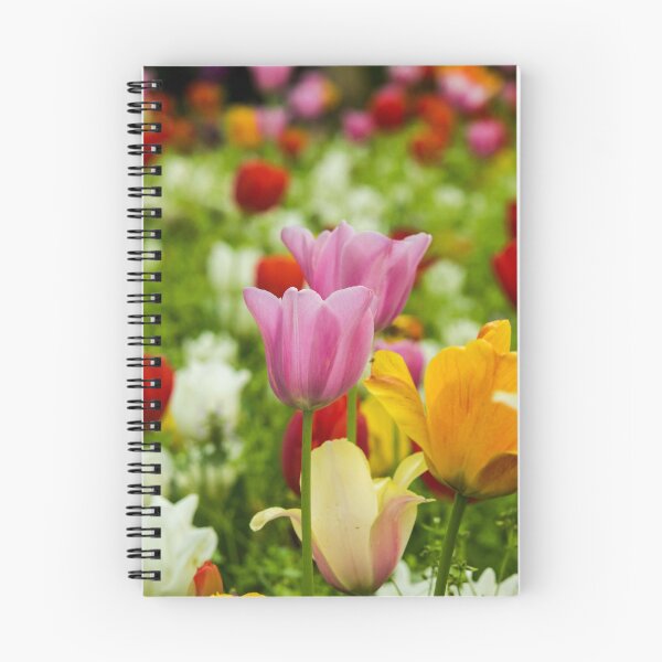 Item preview, Pastel Tulip Garden Photography Print – Spring Floral Wall Art designed and sold by ThatSurreyLife.