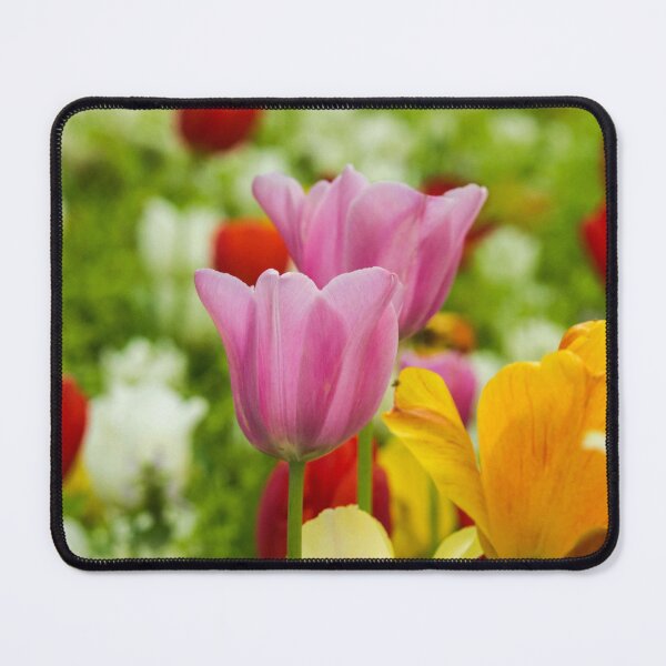 Item preview, Pastel Tulip Garden Photography Print – Spring Floral Wall Art designed and sold by ThatSurreyLife.