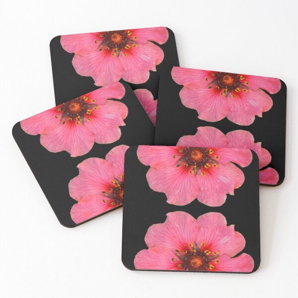 Item preview, Midnight Blossom Duo designed and sold by SilentBloomLab.
