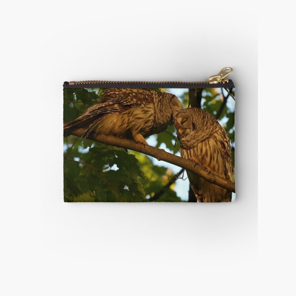 Item preview, Barred owls mate for life designed and sold by locustgirl.