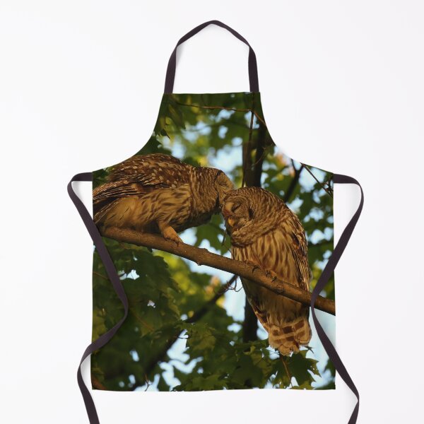 Item preview, Barred owls mate for life designed and sold by locustgirl.