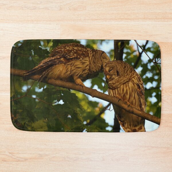 Item preview, Barred owls mate for life designed and sold by locustgirl.