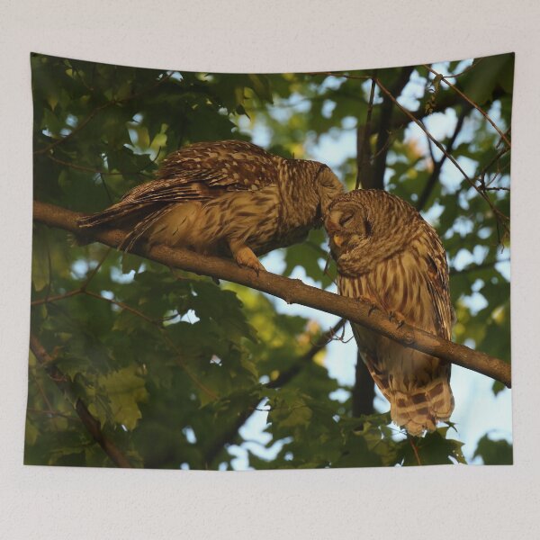 Item preview, Barred owls mate for life designed and sold by locustgirl.