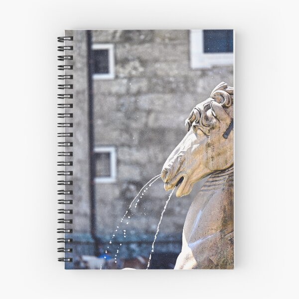 Item preview, Horse head sculpture, detail of the Residence Fountain, Salzburg,Salzburgland, Austria designed and sold by goceris.