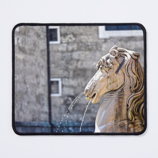 Item preview, Horse head sculpture, detail of the Residence Fountain, Salzburg,Salzburgland, Austria designed and sold by goceris.