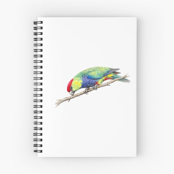 Item preview, Red-capped Parrot Watercolour designed and sold by Jaruart.