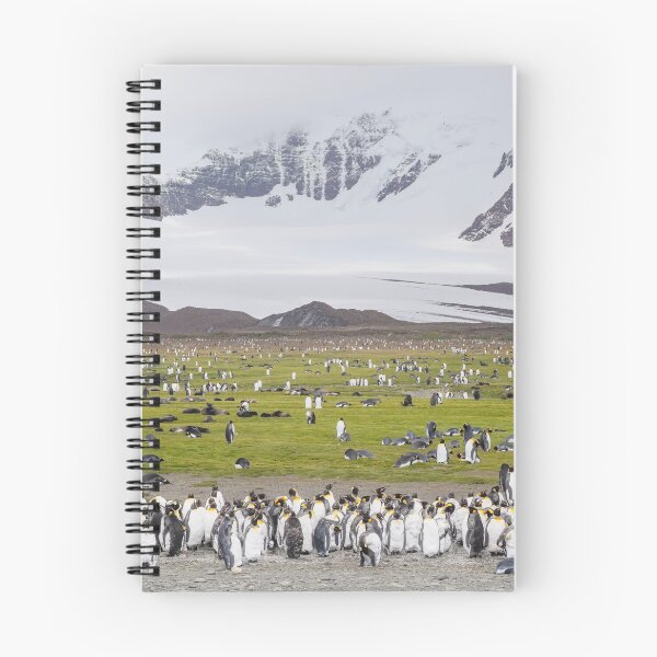Item preview, Penguins and Seals on Salisbury Plain South Georgia Island designed and sold by PhotoArt by Joan Carroll.