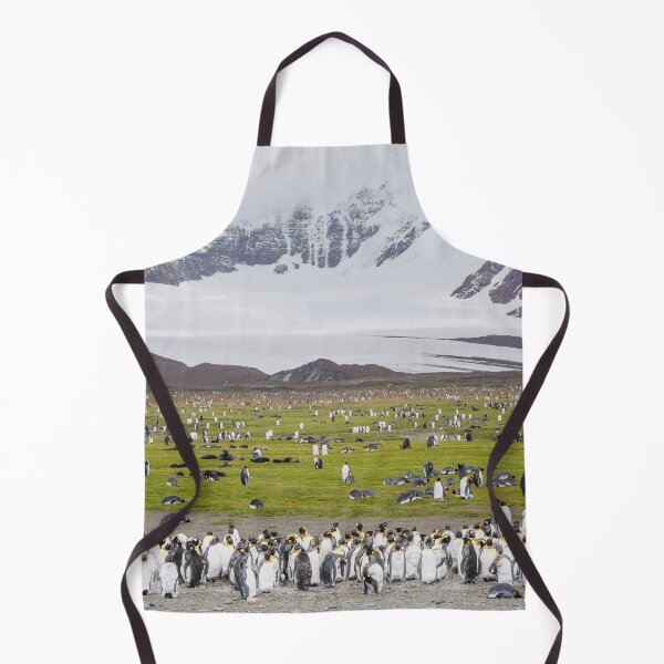 Item preview, Penguins and Seals on Salisbury Plain South Georgia Island designed and sold by PhotoArt by Joan Carroll.