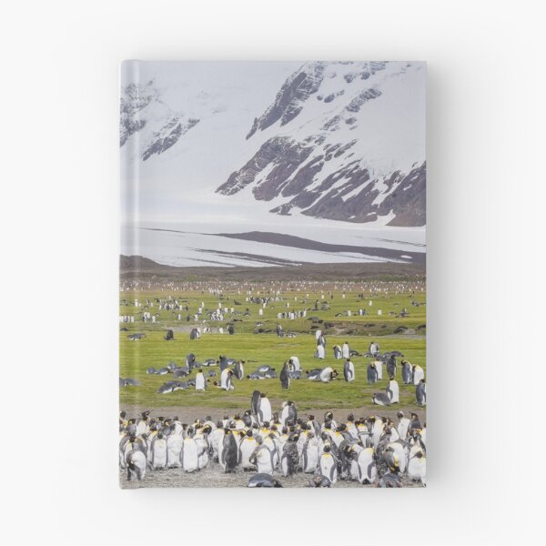 Item preview, Penguins and Seals on Salisbury Plain South Georgia Island designed and sold by PhotoArt by Joan Carroll.