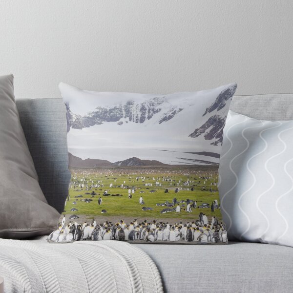 Item preview, Penguins and Seals on Salisbury Plain South Georgia Island designed and sold by PhotoArt by Joan Carroll.