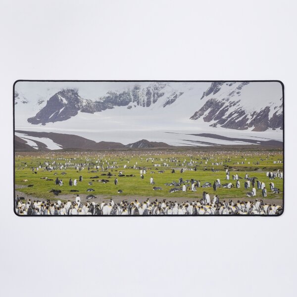 Item preview, Penguins and Seals on Salisbury Plain South Georgia Island designed and sold by PhotoArt by Joan Carroll.