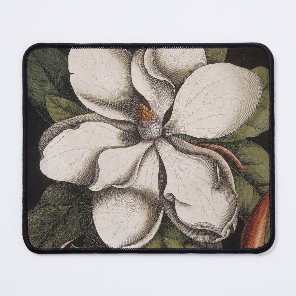Item preview, Tropical Bahamas flower blossoms on canvas painting print by Mark Catesby designed and sold by Jéanpaul  Ferro.