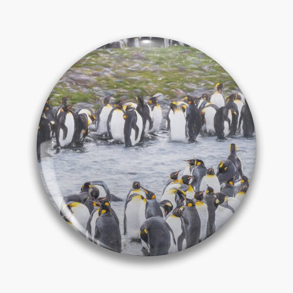 Item preview, King Penguin Colony by the River South Georgia Island 2 designed and sold by PhotoArt by Joan Carroll.