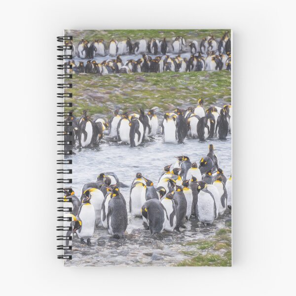 Item preview, King Penguin Colony by the River South Georgia Island 2 designed and sold by PhotoArt by Joan Carroll.