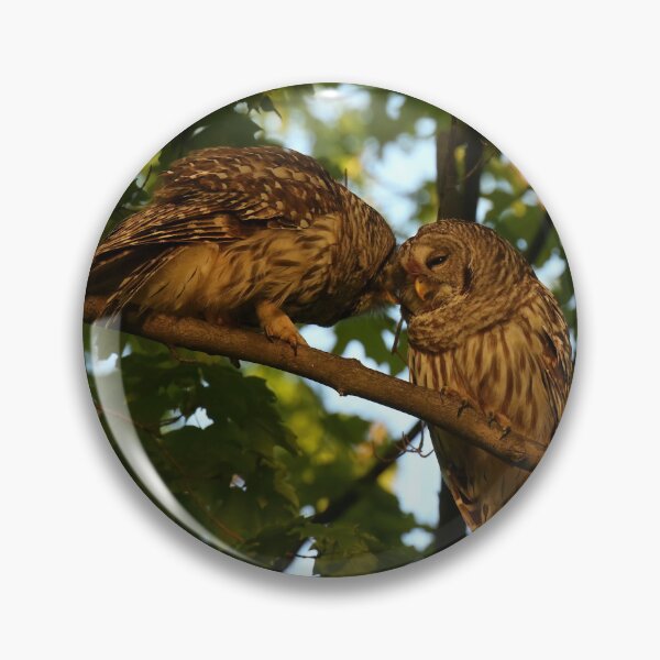 Item preview, Barred Owl Pair designed and sold by locustgirl.