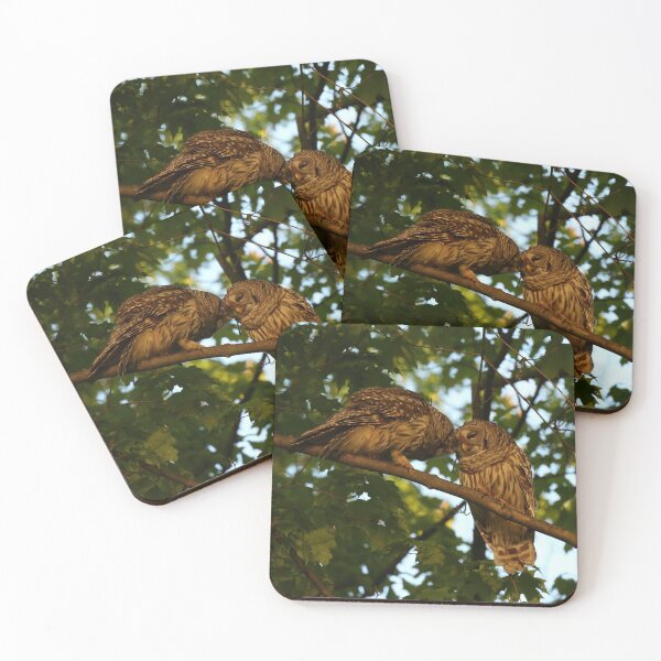 Item preview, Barred Owl Pair designed and sold by locustgirl.