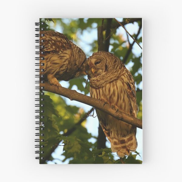 Item preview, Barred Owl Pair designed and sold by locustgirl.