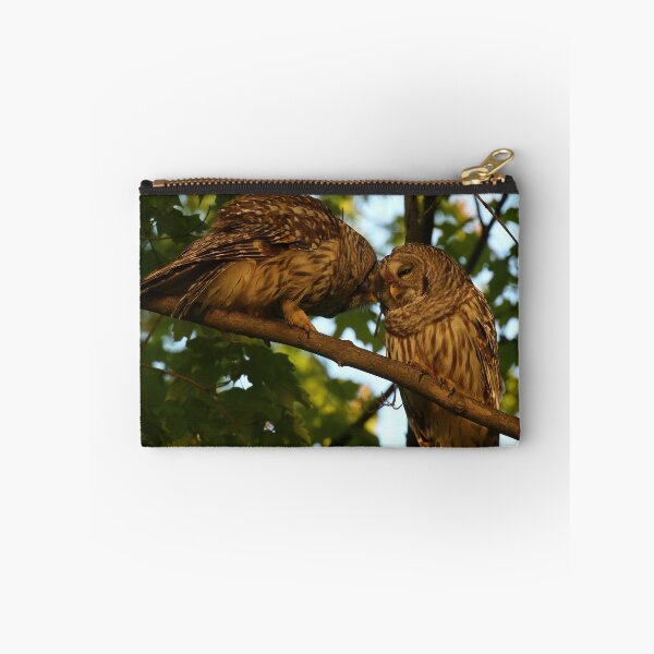 Item preview, Barred Owl Pair designed and sold by locustgirl.