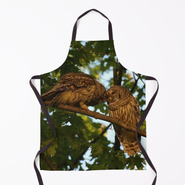 Item preview, Barred Owl Pair designed and sold by locustgirl.