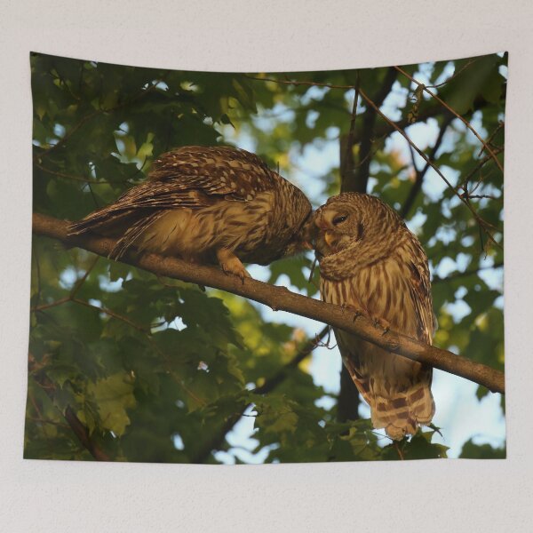 Item preview, Barred Owl Pair designed and sold by locustgirl.