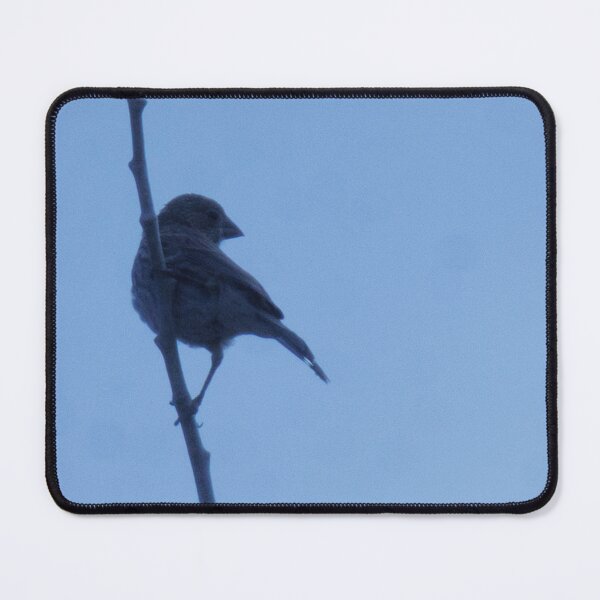 Item preview, Bird hanging on branch designed and sold by WilesNailsPower.