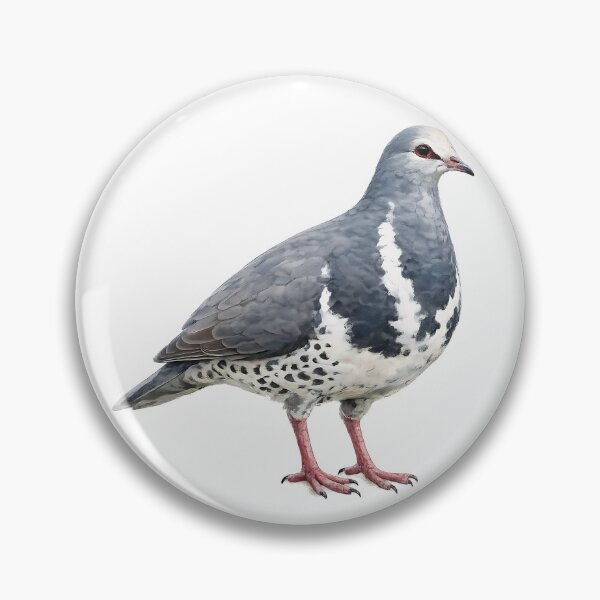 Artikelvorschau, Wonga Pigeon Watercolour entworfen und verkauft von Jaruart.