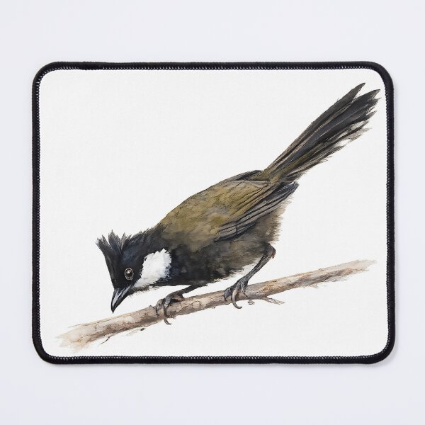 Item preview, Eastern Whipbird - Watercolour Study designed and sold by Jaruart.