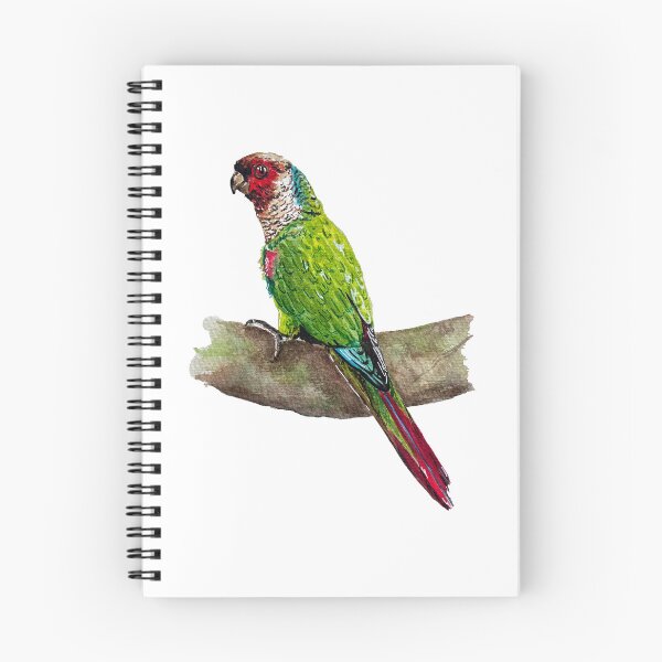 Item preview, Grey-breasted conure on branch designed and sold by Mokatte.