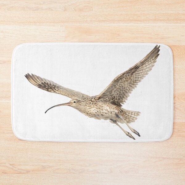 Item preview, Eastern Curlew in Flight - Watercolour designed and sold by Jaruart.