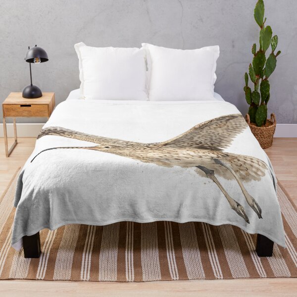 Item preview, Eastern Curlew in Flight - Watercolour designed and sold by Jaruart.