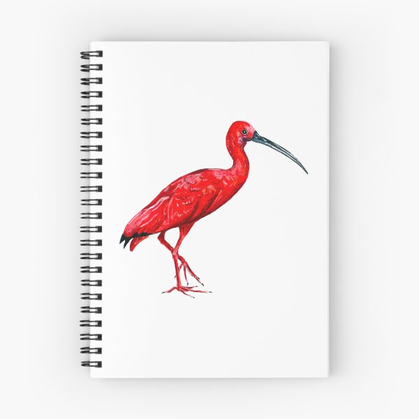 Item preview, Red ibis minimalist naturalist illustration designed and sold by Mokatte.