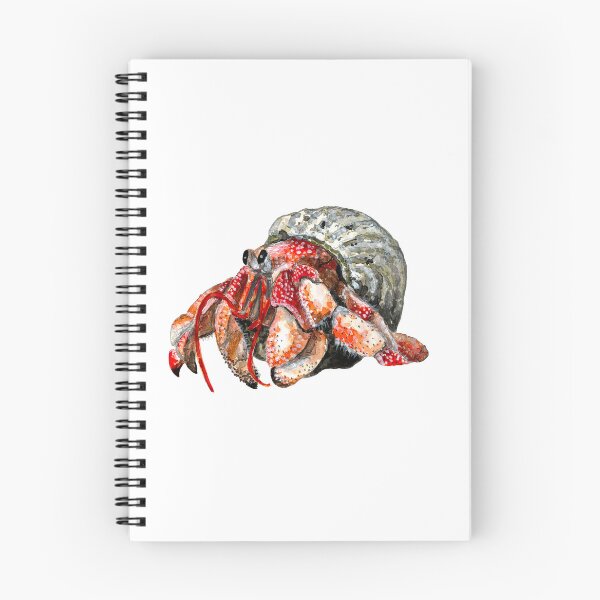 Item preview, Hermit crab watercolor illustration designed and sold by Mokatte.