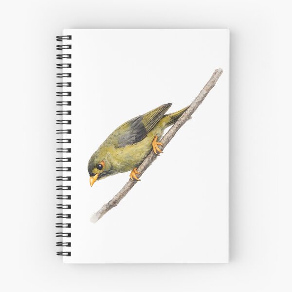 Item preview, Bell Miner Watercolour designed and sold by Jaruart.